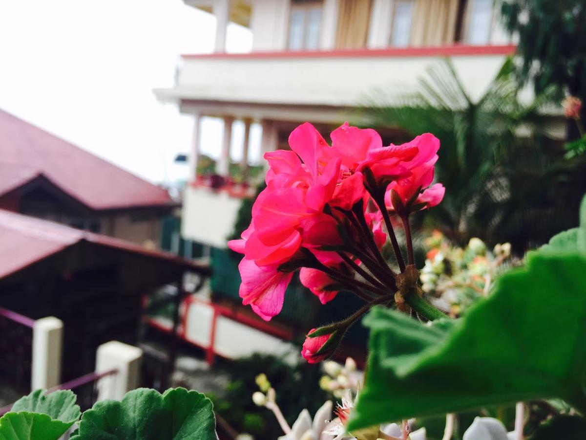 Deki Lodge Kalimpong Dış mekan fotoğraf